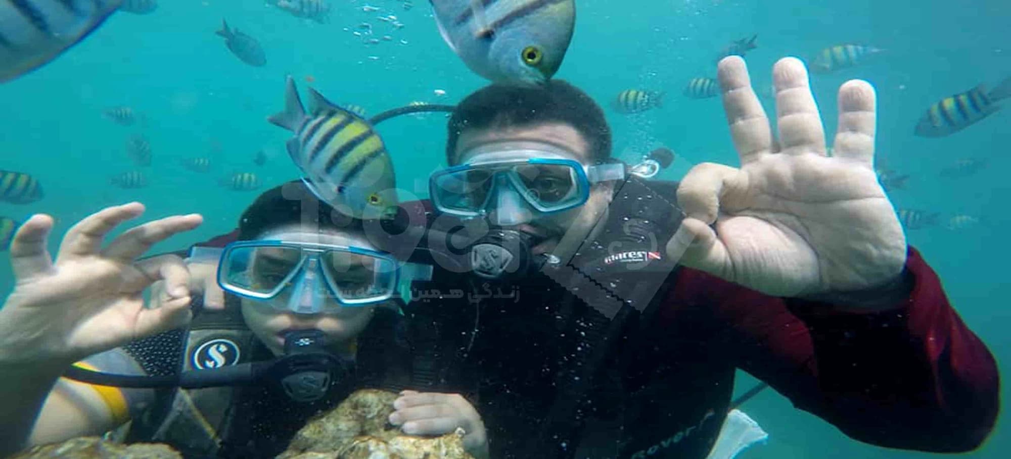 خرید بلیط غواصی در کیش