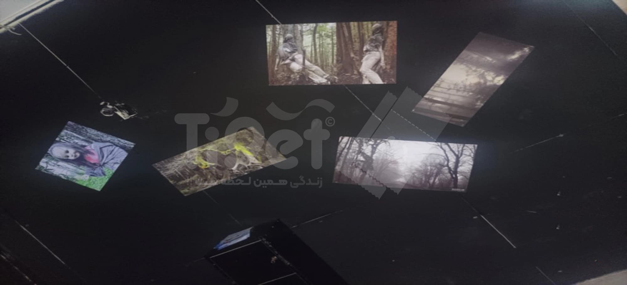 دشت تاول زده اسکیپ روم ۲۲۲ قم