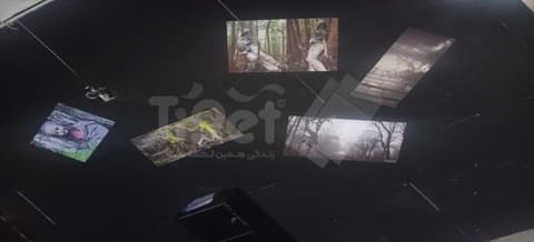 دشت تاول زده اسکیپ روم ۲۲۲ قم