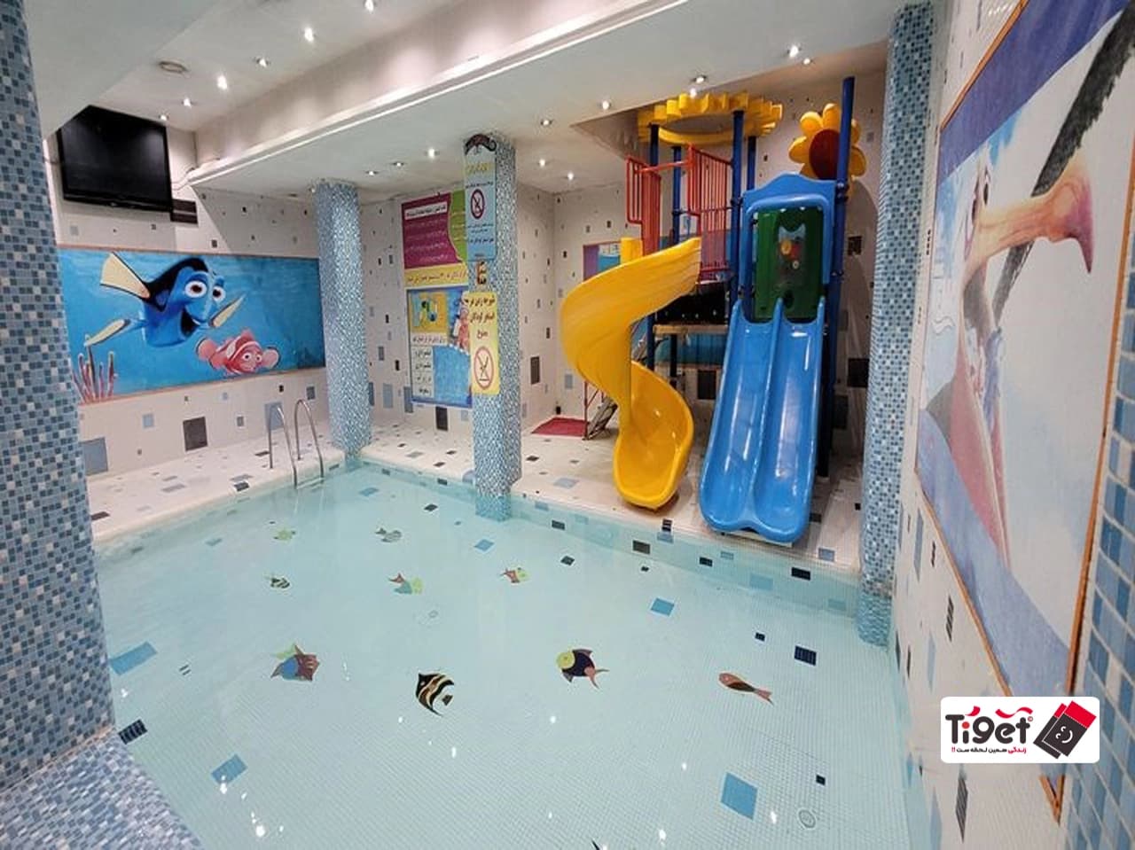 darya-qom-pool-5