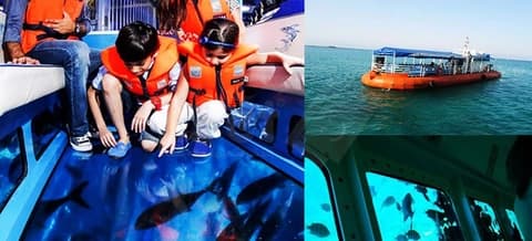 عکس کشتی آکواریوم کیش